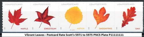 Vibrant leaves postcard - postcard, rate